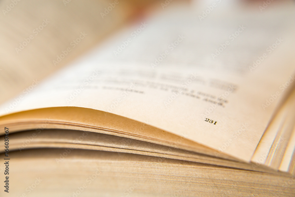 Open old book. Yellowed pages. Page number 231. Paper texture. Macro. Open old book. Yellowed pages. Page number 231. Paper texture. Macro.