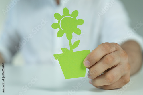 plant green