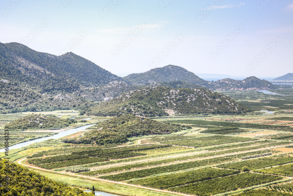 View over the vineyards of the Dubrovnik Riviera, Croatia
