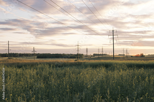 Beautiful sunset in the field with power lines