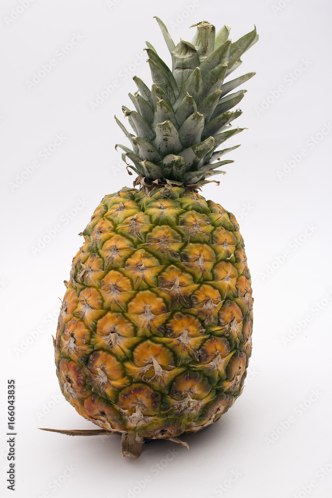 Pineapple Pineapple