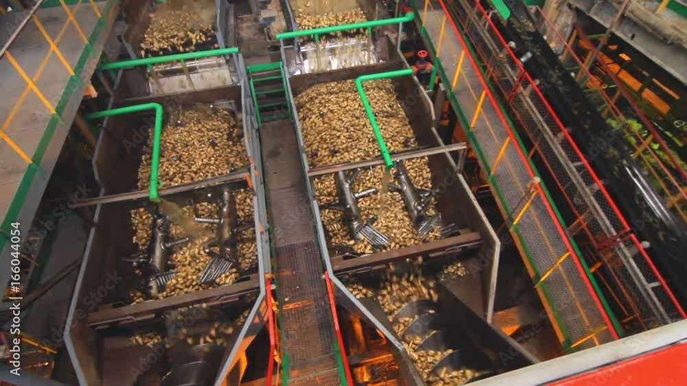 Food processing equipment. Sugar factory process. Sugar beets washing machine. Processing plant