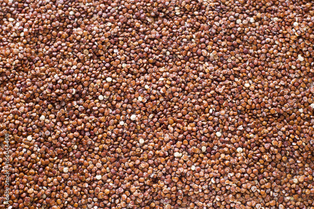 Seeds of red quinoa - Chenopodium quinoa Seeds of red quinoa - Chenopodium quinoa
