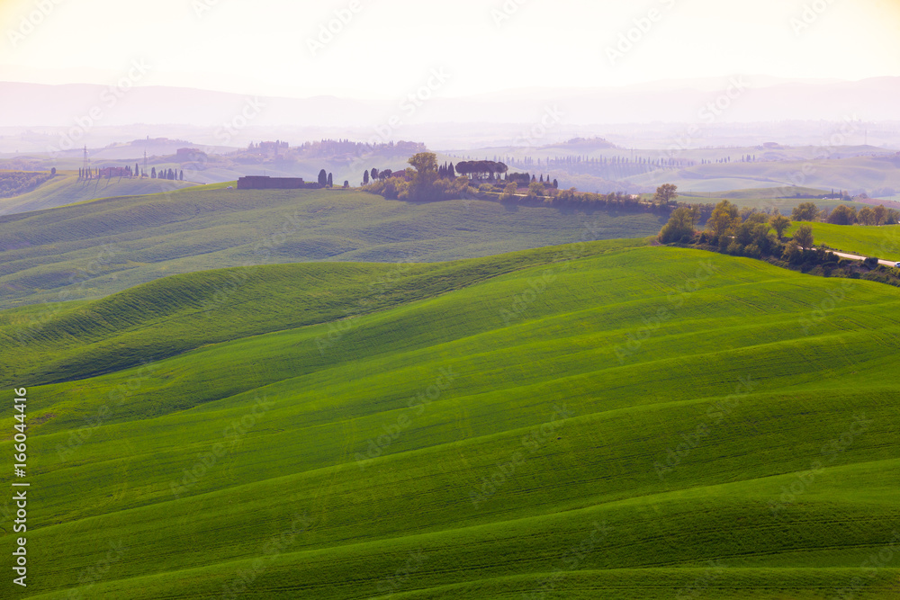 Fototapeta premium Typical Tuscan landscape