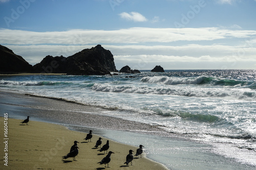 Mc Clure's Beach in Point Reyes National Seashore © Heather