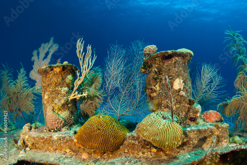 The wreck of the Doc poulson in Grand Cayman is an artificial reef and is now home to much coral and fish life. The little sunken vessel is a popular attraction for adventurous scuba divers photo