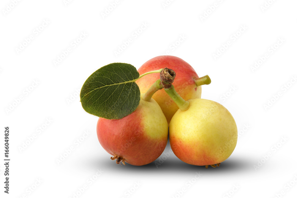 Fototapeta premium Pere isolate su sfondo bianco