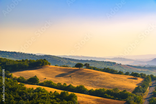Landscape in Tuscany in summer