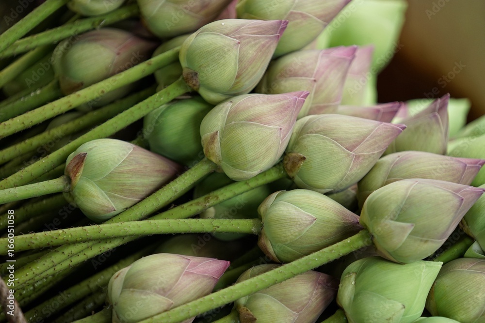 Lotus is a Buddhist flower.