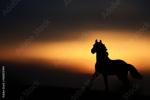 Silhouette of a horse against  a beautiful sunset © Alaskajade