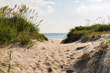 Deken met foto Kamperen Zandpad naar Coquina Beach aan Cape Hatteras  © sherryvsmith