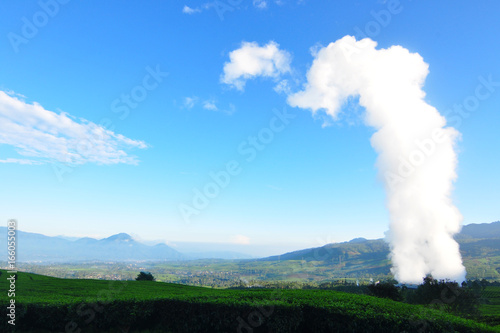 Geothermal Steam in Tea Farm