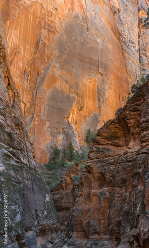 Zion National Park Canyons Rock face