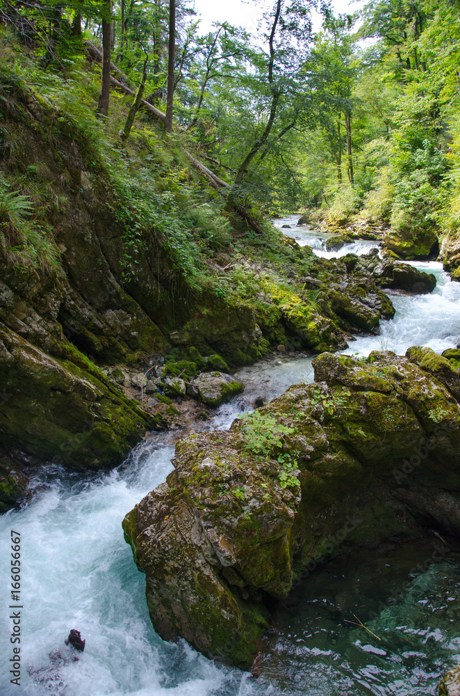 Vintgar Gorge, Slovenia Vintgar Gorge, Slovenia