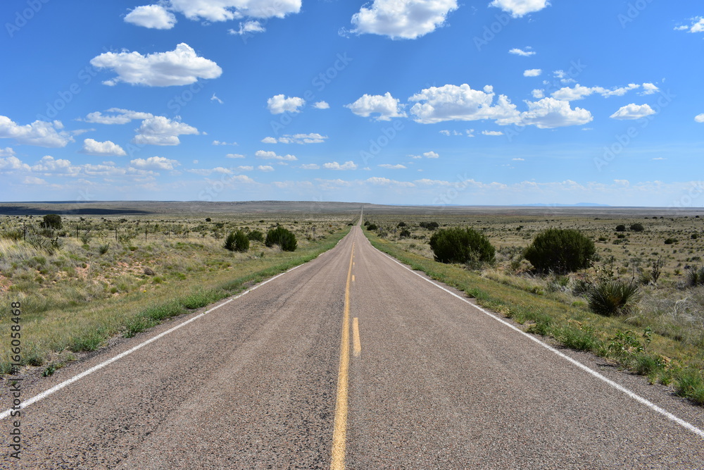 New Mexico Road Trippin'