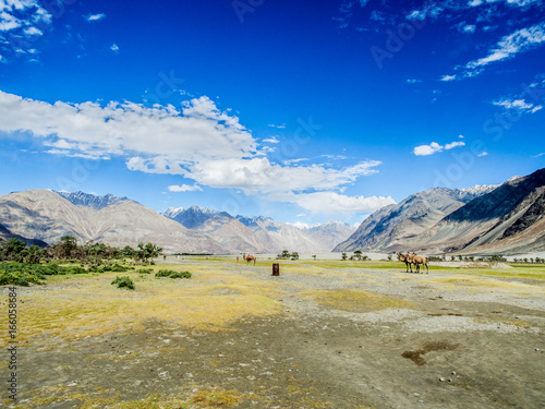 Beautiful mountain near Hunder Sand Dunes , the high altitude deserts in the world
 photo