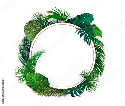 Tropical palm leaves set, drawn vector collection.