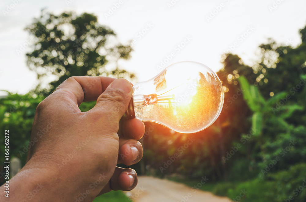 hand hold light bulb and sunset power energy concept nature