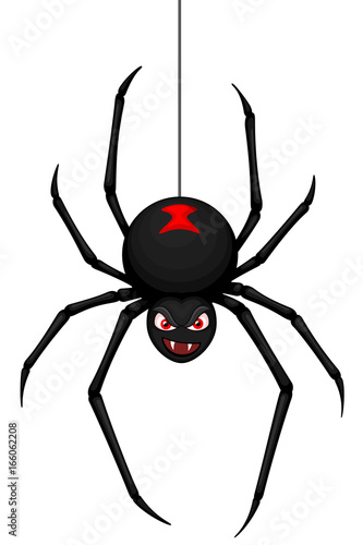 Vector illustration of a cartoon black widow spider hanging from a thread of web.