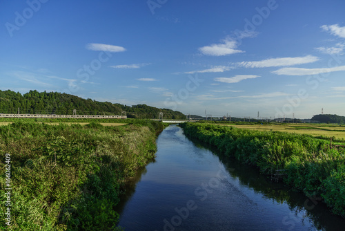 Fototapeta Naklejka Na Ścianę i Meble -  夏の鹿島川の風景