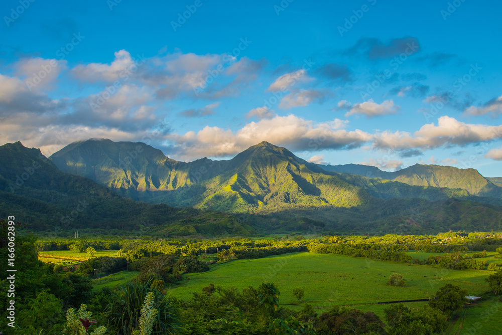 Fototapeta premium Hanalei