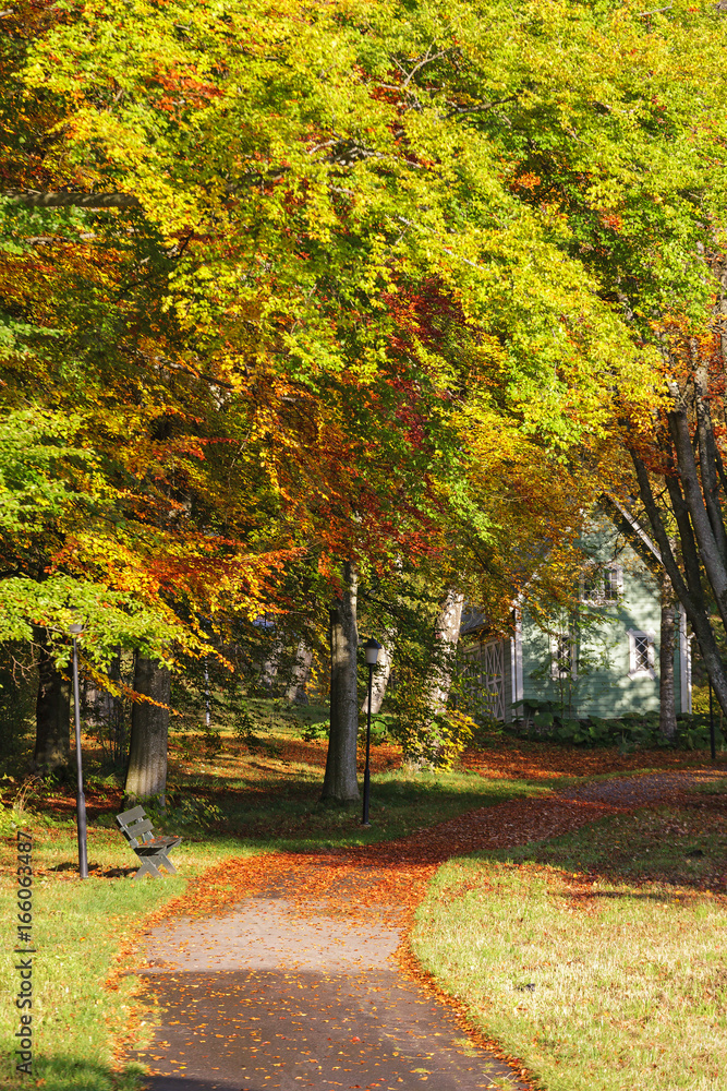 Naklejka premium Walking path in a park in autumn