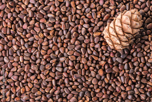 pine nuts and pine cone closeup