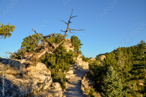 Bright Angel Point trail in the morning North Rim, Arizona, USA