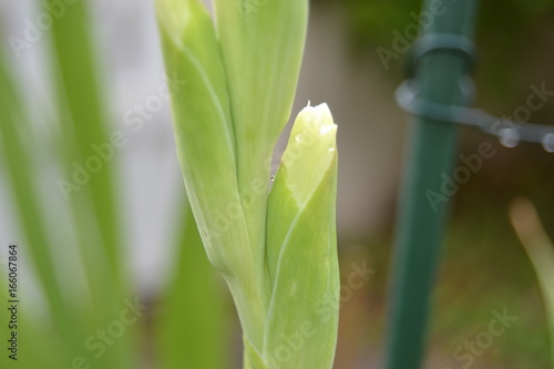 GOUTTE D'EAU-AQUA