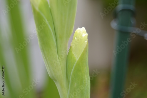 GOUTTE D'EAU-AQUA