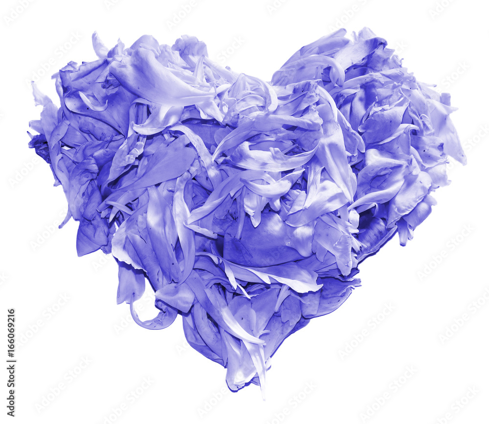 Heart of peony petals isolated on white Heart of peony petals isolated on white