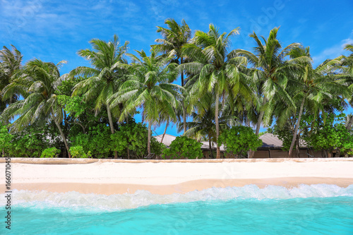 View of beautiful beach with tropical palms at resort
