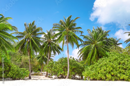 View of beautiful beach at tropical resort © Africa Studio