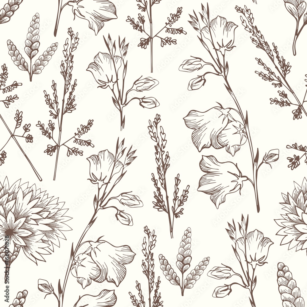 Delicate seamless pattern with wildflowers. Hand drawing for design