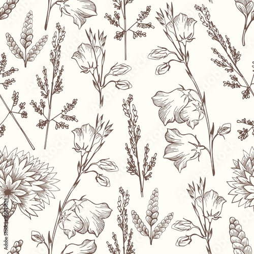 Delicate seamless pattern with wildflowers. Hand drawing for design