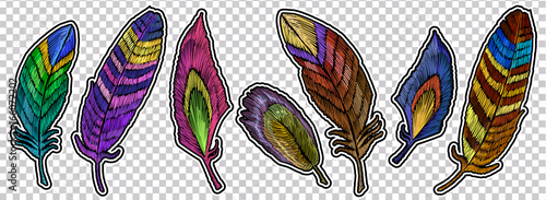 Color feathers embroidery element collection, fashionable template for design of clothes, t-shirt design. Beautiful feathers of tropical birds, classic embroidery art vector