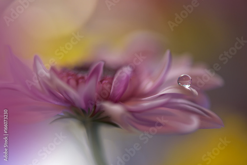 Fototapeta Naklejka Na Ścianę i Meble -  Abstract macro photo with water drops.Artistic Background for desktop. Flowers made with pastel tones.Tranquil abstract closeup art photography.Print for Wallpaper...Floral fantasy design...