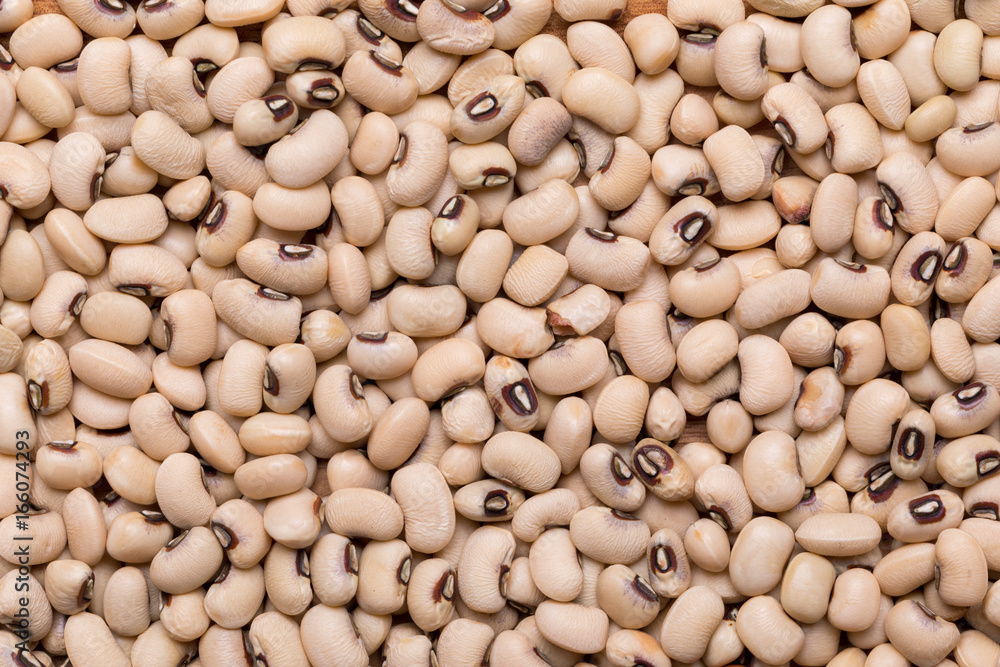 Assortment of Beans - Navy Bean