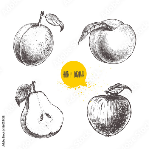 Hand drawn sketch style fruits set. Apricot, peach with leaf, half of pear and apple. Eco food vector illustration collection on white background.