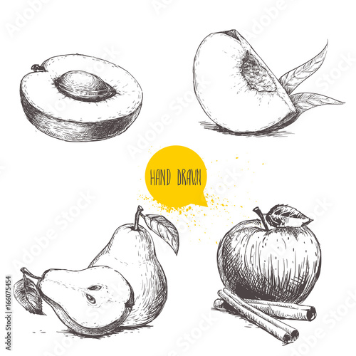 Hand drawn sketch style fruits set. Apricot, peach quarter with leafs, whole pear and half, apple with cinnamon sticks. Vector illustration collection on white  background.