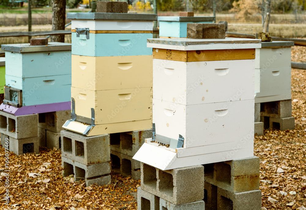 Colorful Wood Beehives Colorful Wood Beehives