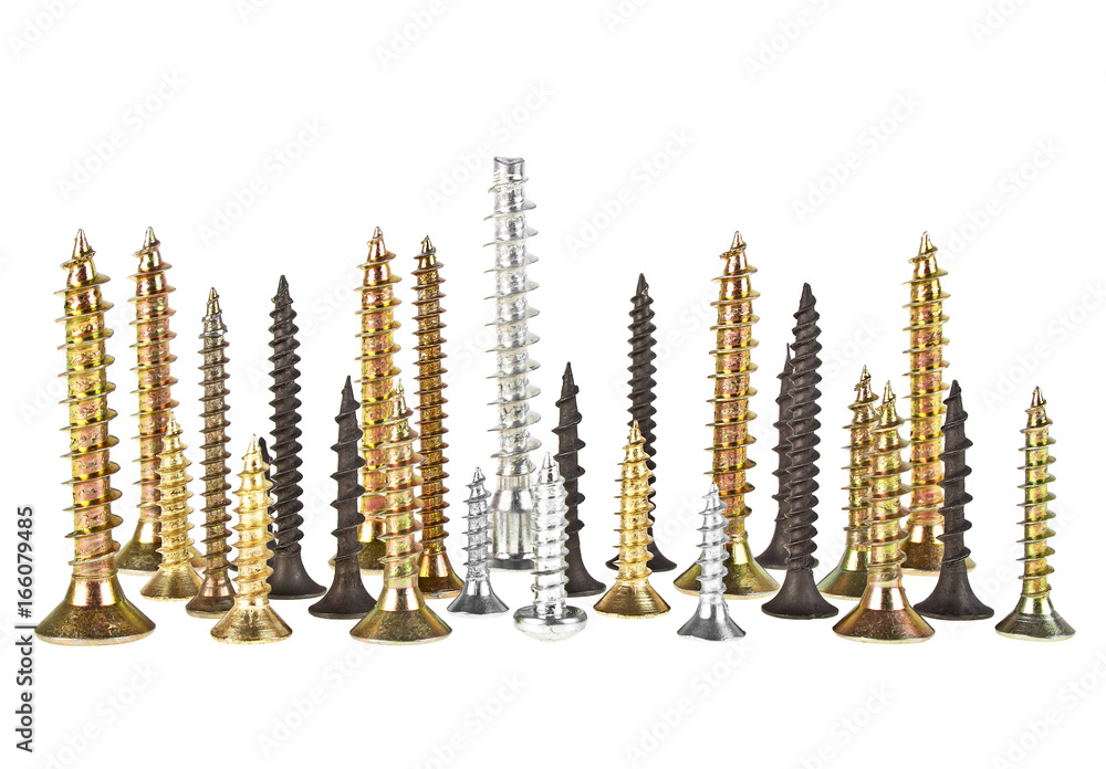 Group of different metal screws on a white background Group of different metal screws on a white background