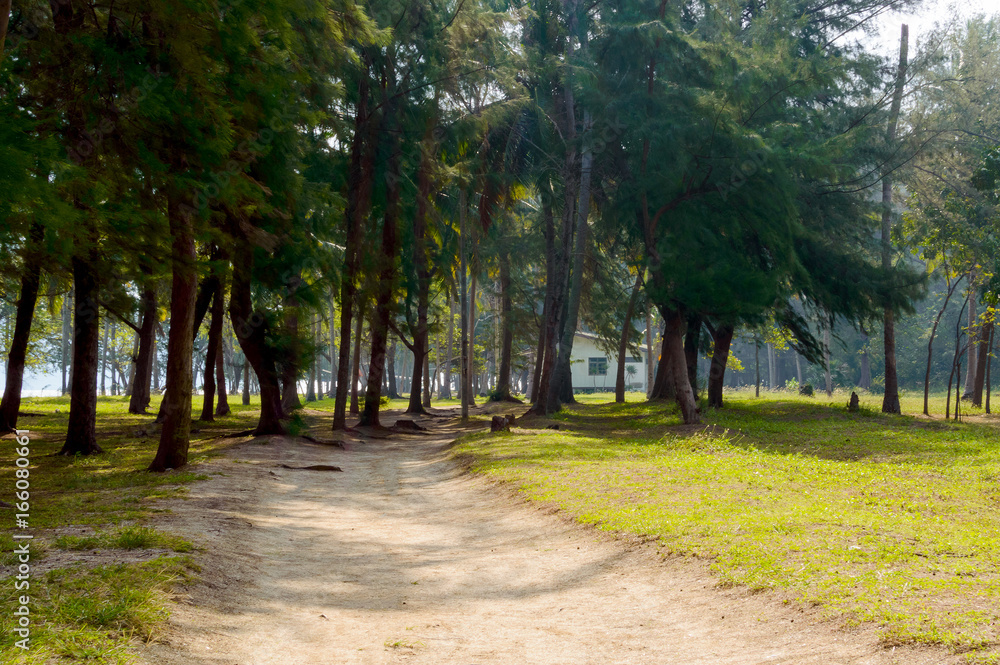 Trail at Leamsala way to Phraya Nakorn cave, Thailand. National Park Khao Sam Roi Yot