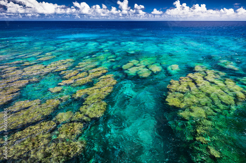 Fototapeta Naklejka Na Ścianę i Meble -  Tropical coral reef on Upolu island, Samoa, perfect for snorkling