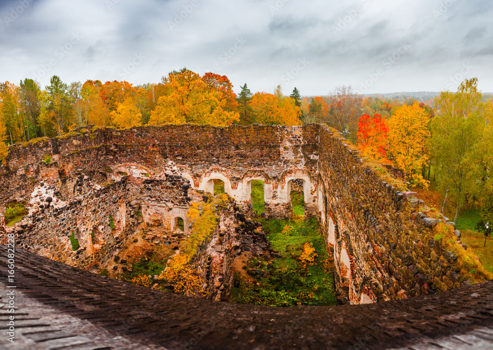 Medieval stone granite castle ruins at fall time. Autumn foliage. Rauna, Latvia
