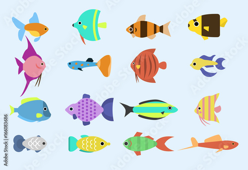 Exotic tropical fish race different breed colors underwater ocean species aquatic strain nature flat vector illustration.