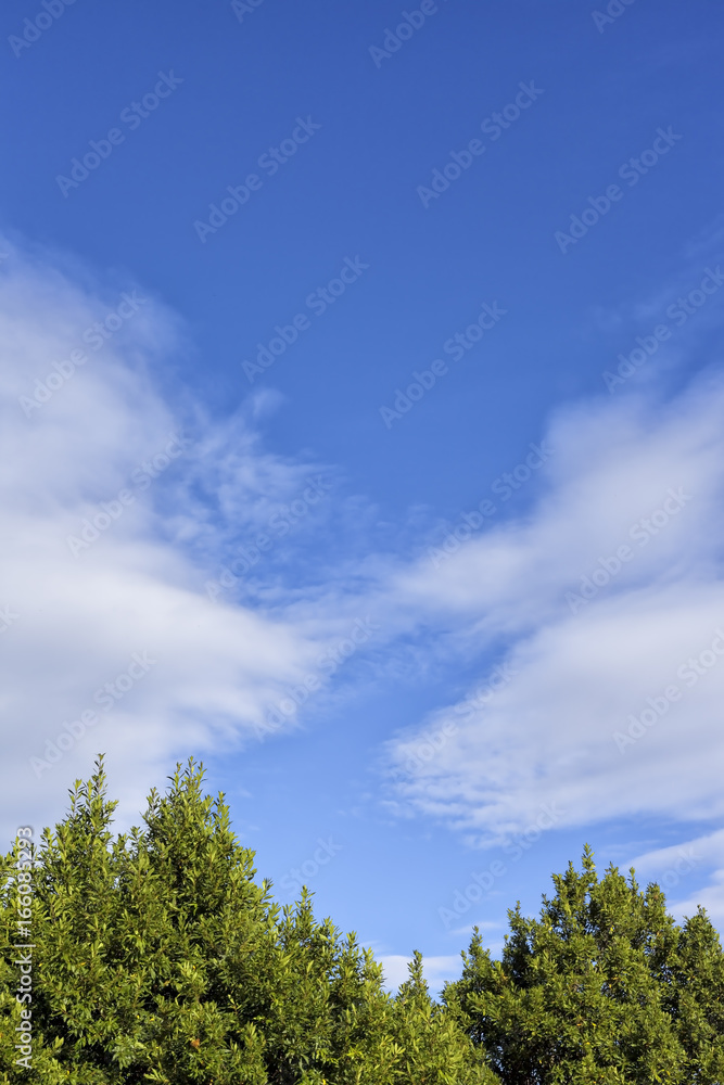 Clouds in the blue sky.