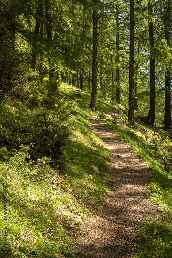 Obraz premium Meraner Höhenweg, Schnalstal, Südtirol, Italien