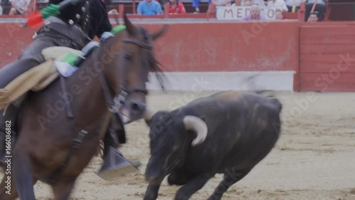 Horse and bull in bullfight of rejones 9
