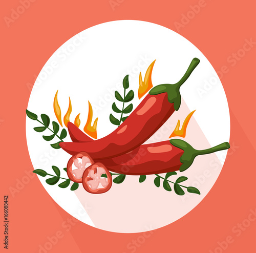 Hot Chili peppers icon detailed vector illustration template